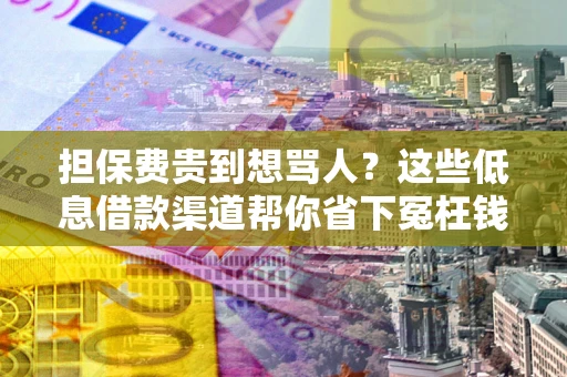 济南担保费贵到想骂人？这些低息借款渠道帮你省下冤枉钱