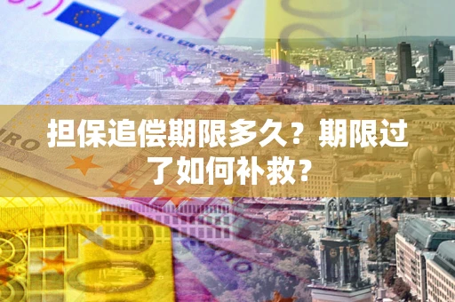 济南担保追偿期限多久？期限过了如何补救？