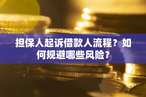 济南担保人起诉借款人流程？如何规避哪些风险？